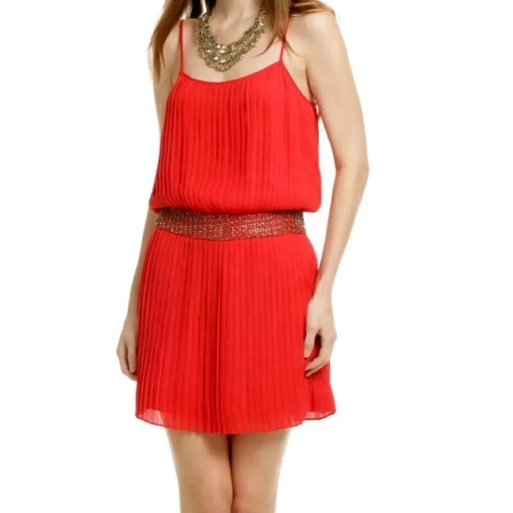 Parker beaded pleated dress 